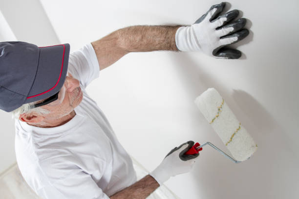 Best Comprehensive Air Testing for Mold Contaminants  in Rainbow Lakes Estates, FL