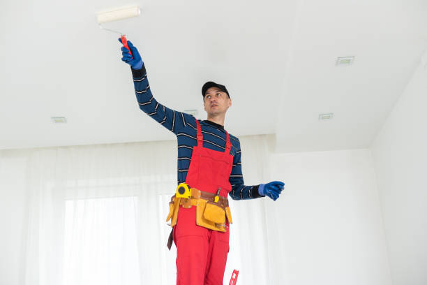 Best Mold Damage Restoration  in Rainbow Lakes Estates, FL
