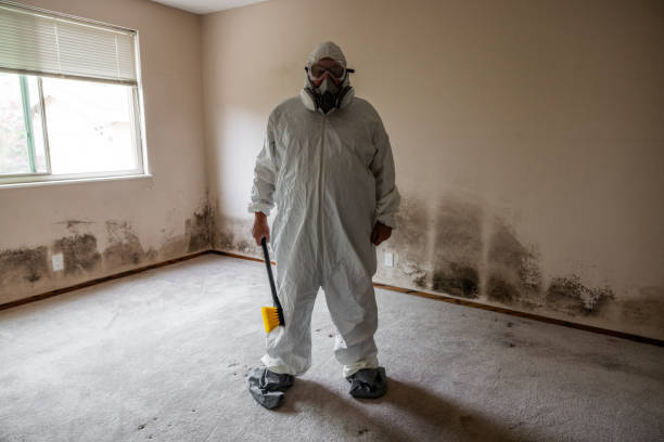 Best Crawl Space Mold Remediation  in Rainbow Lakes Estates, FL